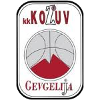 https://img.bessiedavid.com/img/basketball/team/4b06fe02aaa7da5901e5698485059da0.png