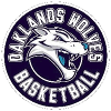 https://img.bessiedavid.com/img/basketball/team/c48fa6a023f3d963f7dc8825212815d4.png