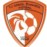 https://img.bessiedavid.com/img/football/team/5477d301041e00b2de35d5eeea2fabb4.png