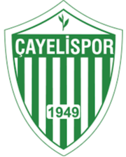 https://img.bessiedavid.com/img/football/team/98ef16297a173b12921045619237aea5.png